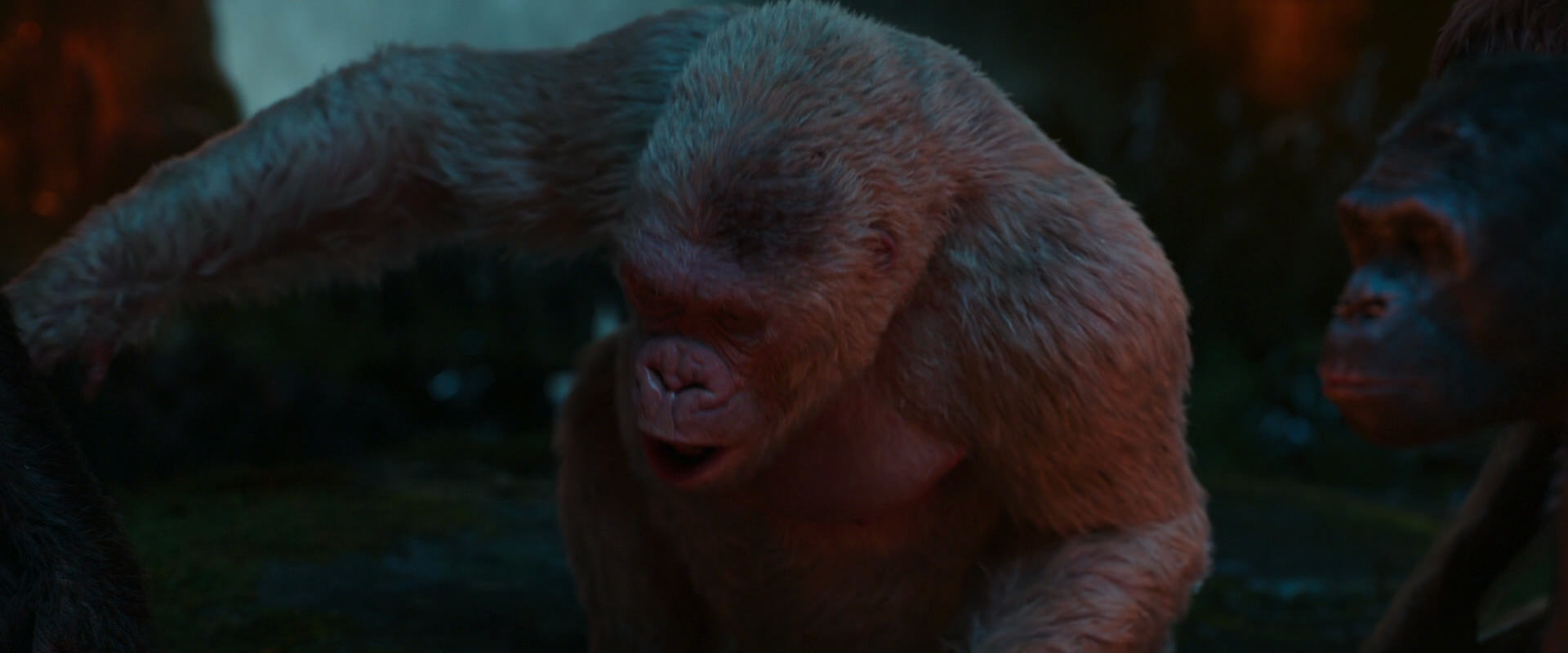 War for the Planet of the Apes (2017) movie still 1828