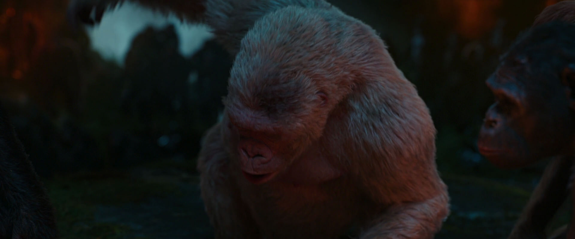 War for the Planet of the Apes (2017) HD screenshot 1829