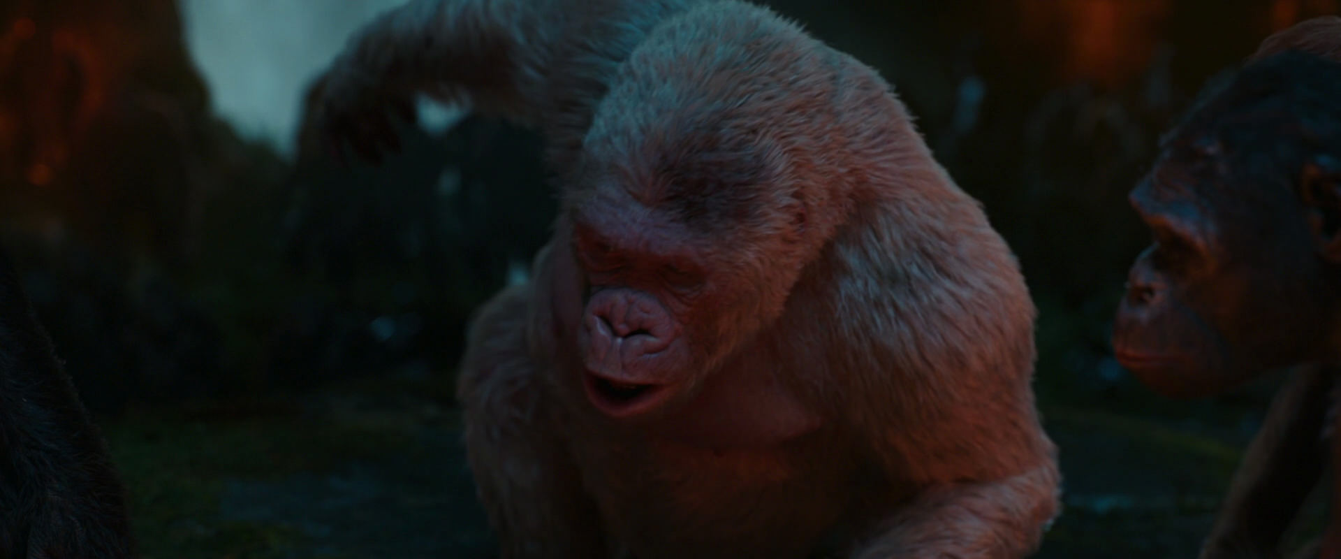 War for the Planet of the Apes (2017) screencap 1830