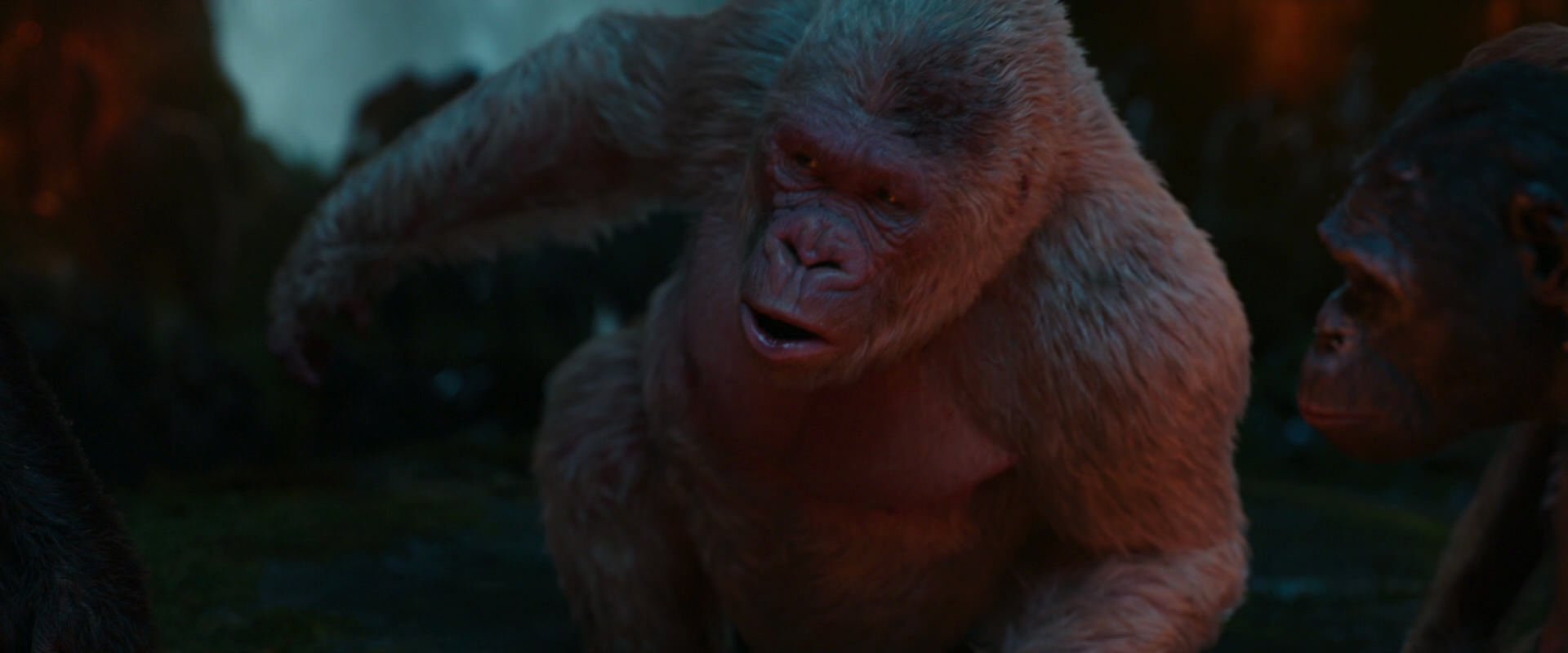 War for the Planet of the Apes (2017) movie still 1831
