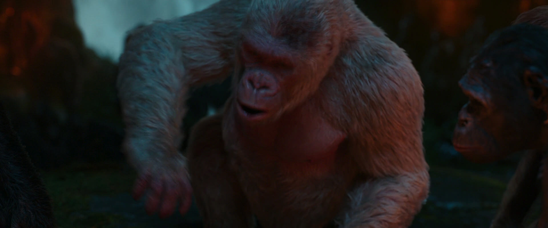 War for the Planet of the Apes (2017) screencap 1833
