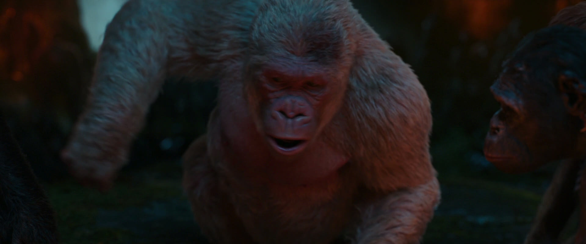 War for the Planet of the Apes (2017) movie still 1834
