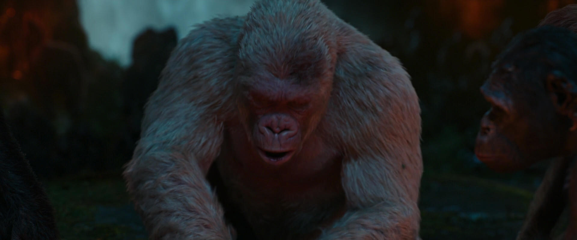 War for the Planet of the Apes (2017) screencap 1836