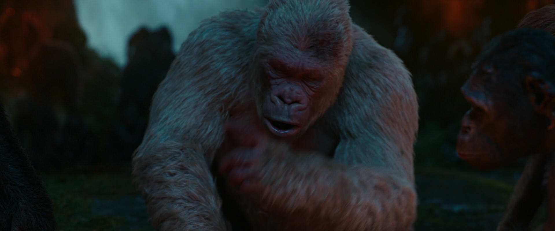 War for the Planet of the Apes (2017) movie still 1837