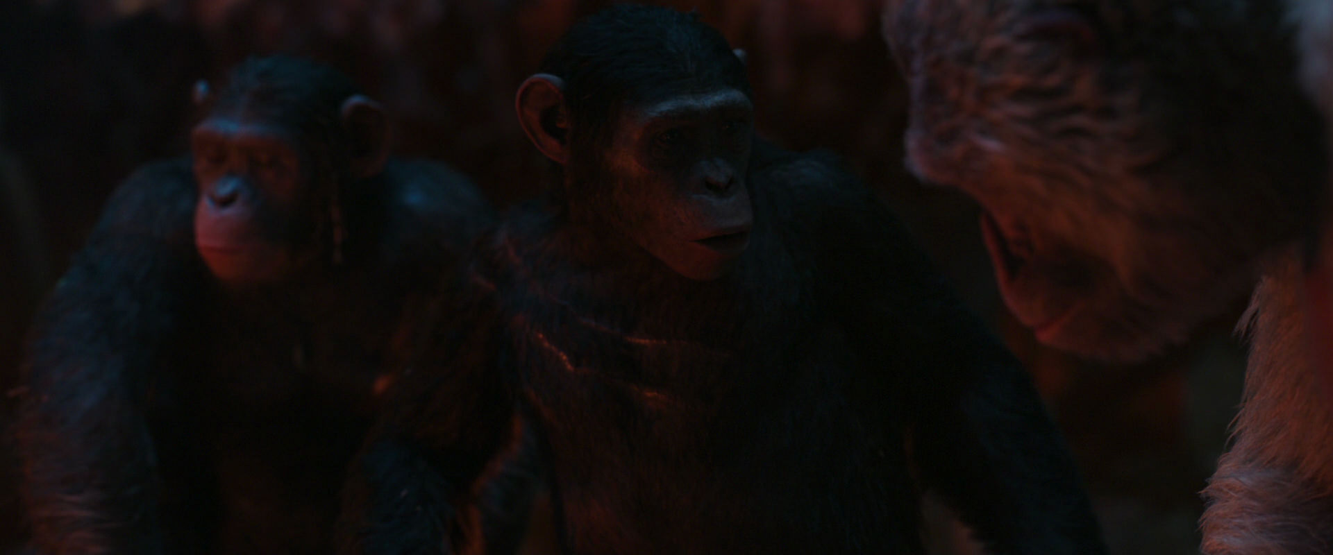 War for the Planet of the Apes (2017) HD screenshot 1844