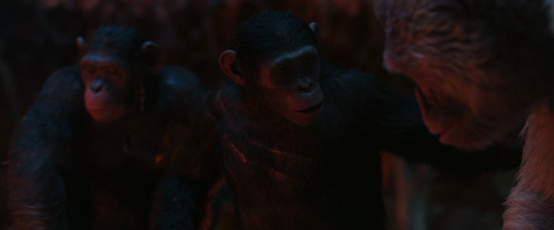 War for the Planet of the Apes (2017) screencap 1845