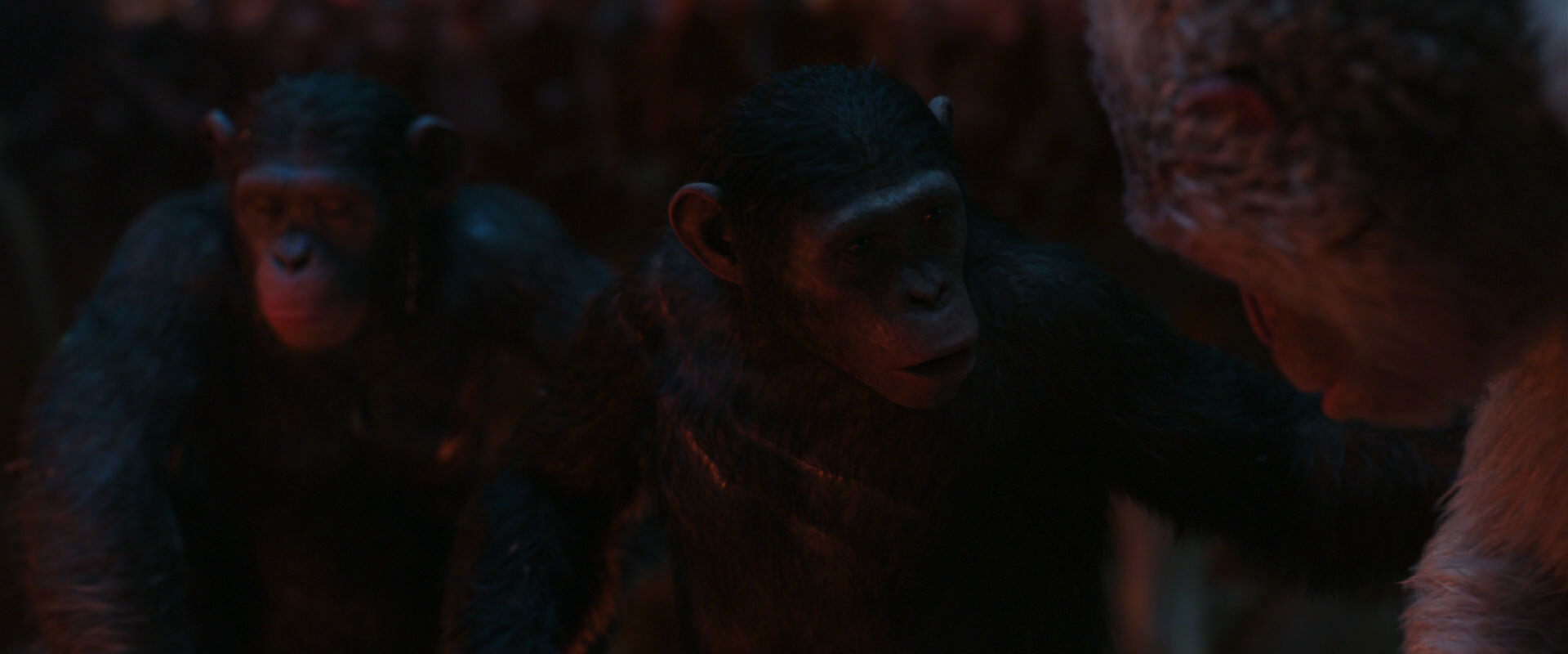 War for the Planet of the Apes (2017) movie still 1846