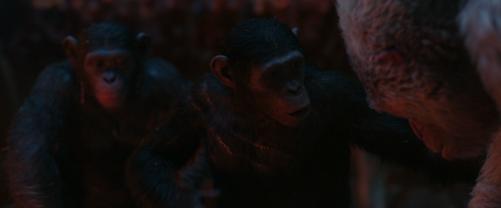 War for the Planet of the Apes (2017) HD screenshot 1847