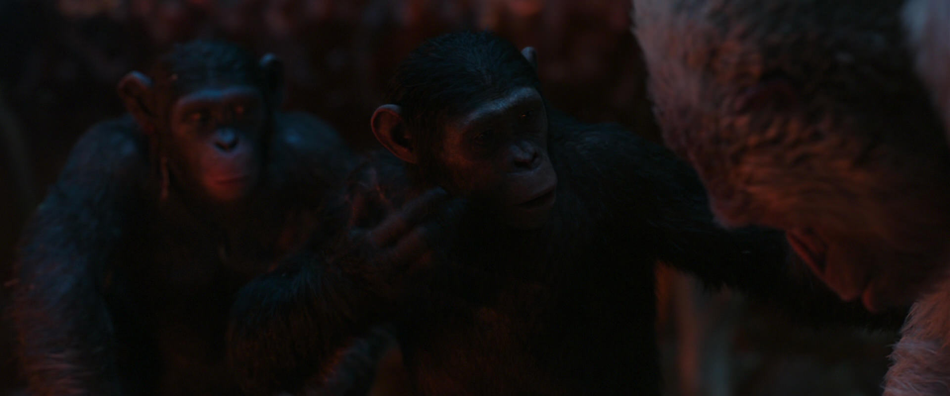 War for the Planet of the Apes (2017) screencap 1848