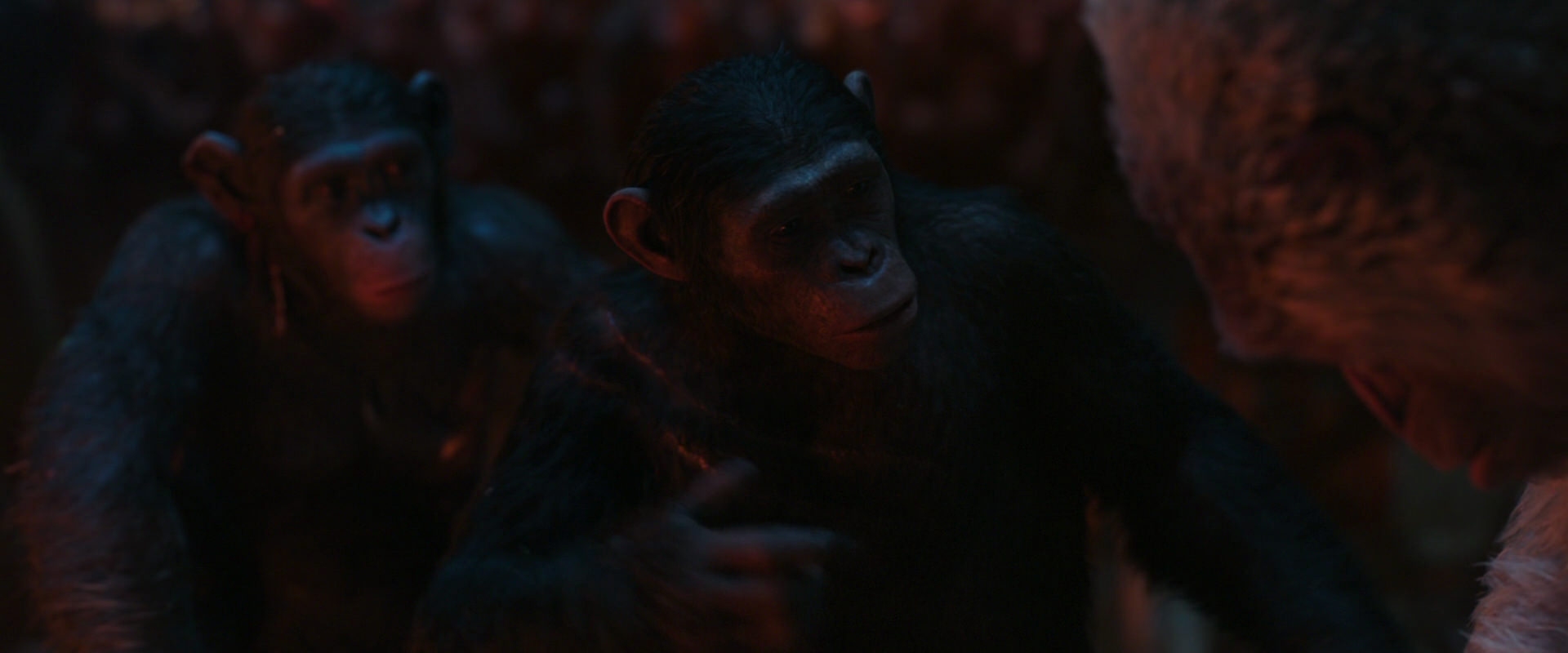 War for the Planet of the Apes (2017) movie still 1849
