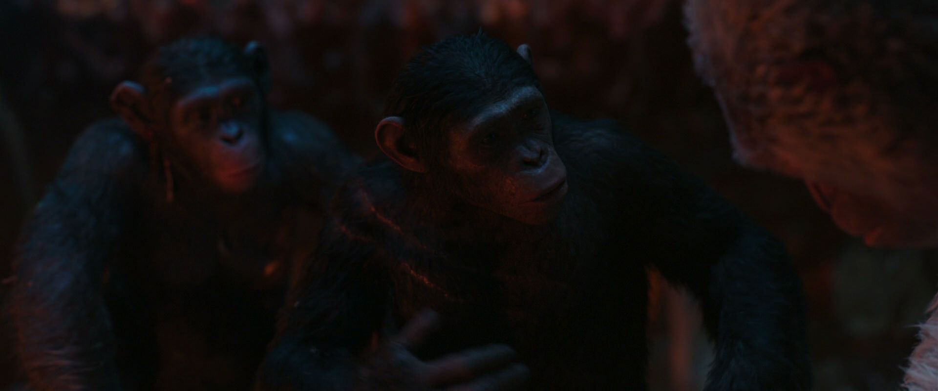 War for the Planet of the Apes (2017) HD screenshot 1850