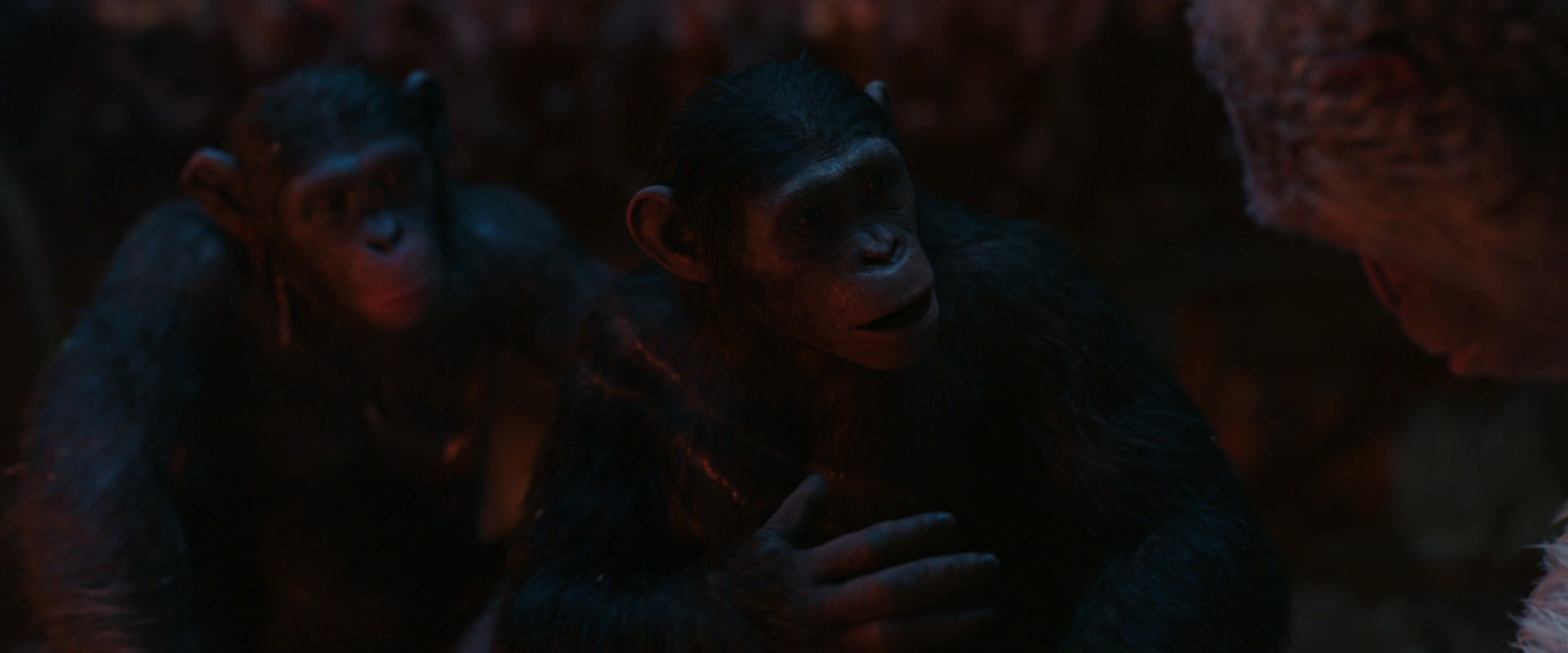 War for the Planet of the Apes (2017) screencap 1851
