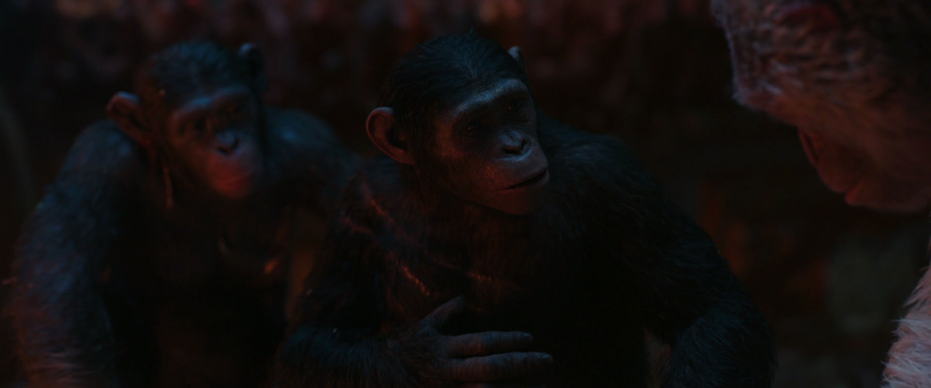 War for the Planet of the Apes (2017) movie still 1852