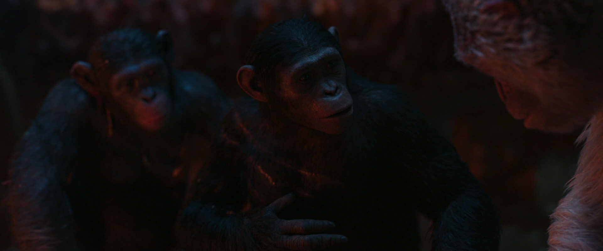 War for the Planet of the Apes (2017) HD screenshot 1853