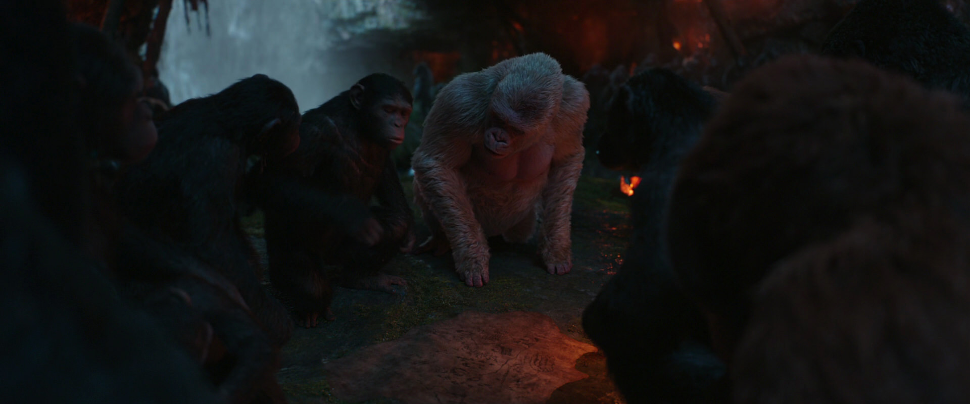 War for the Planet of the Apes (2017) screencap 1854