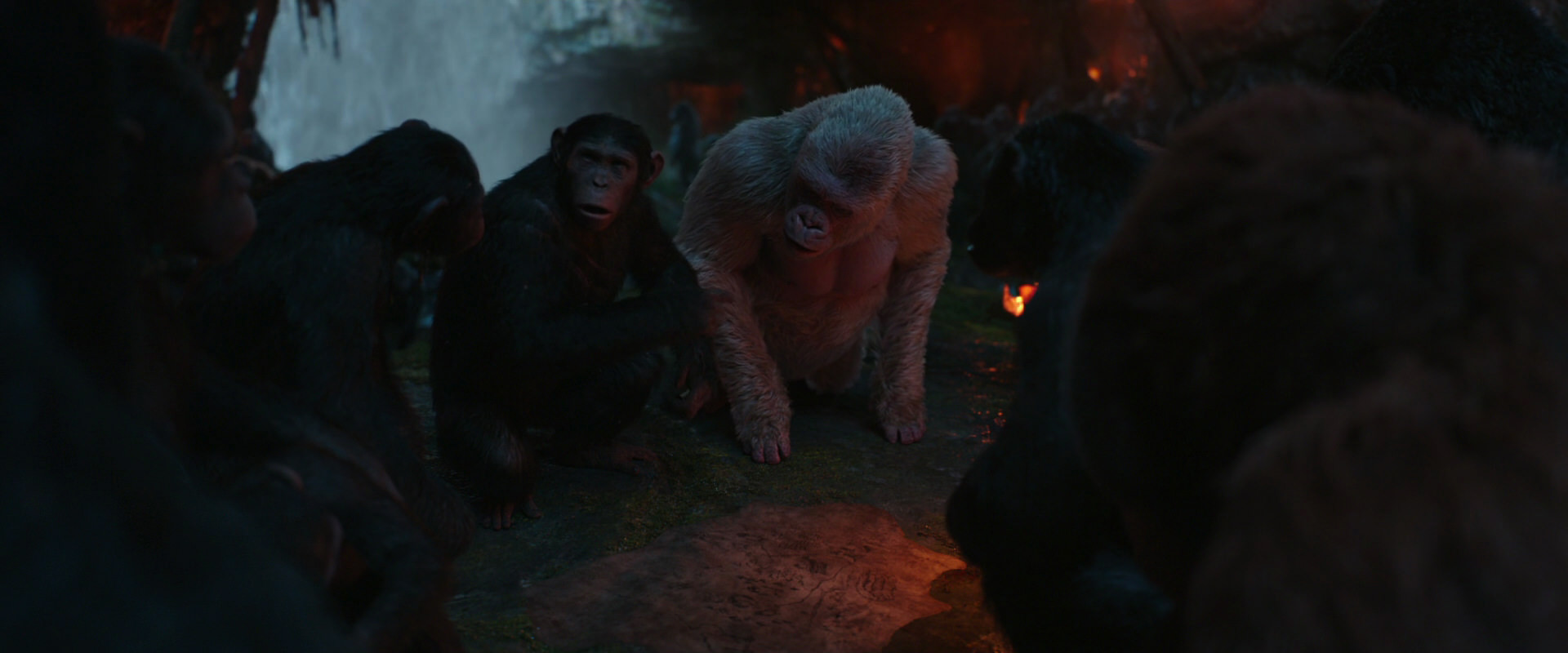 War for the Planet of the Apes (2017) movie still 1855