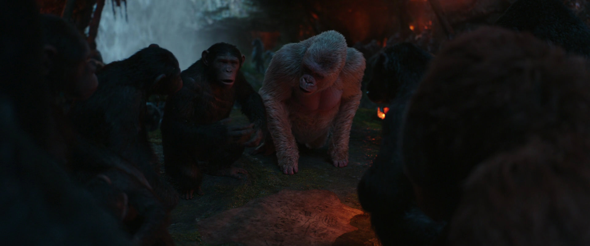 War for the Planet of the Apes (2017) HD screenshot 1856