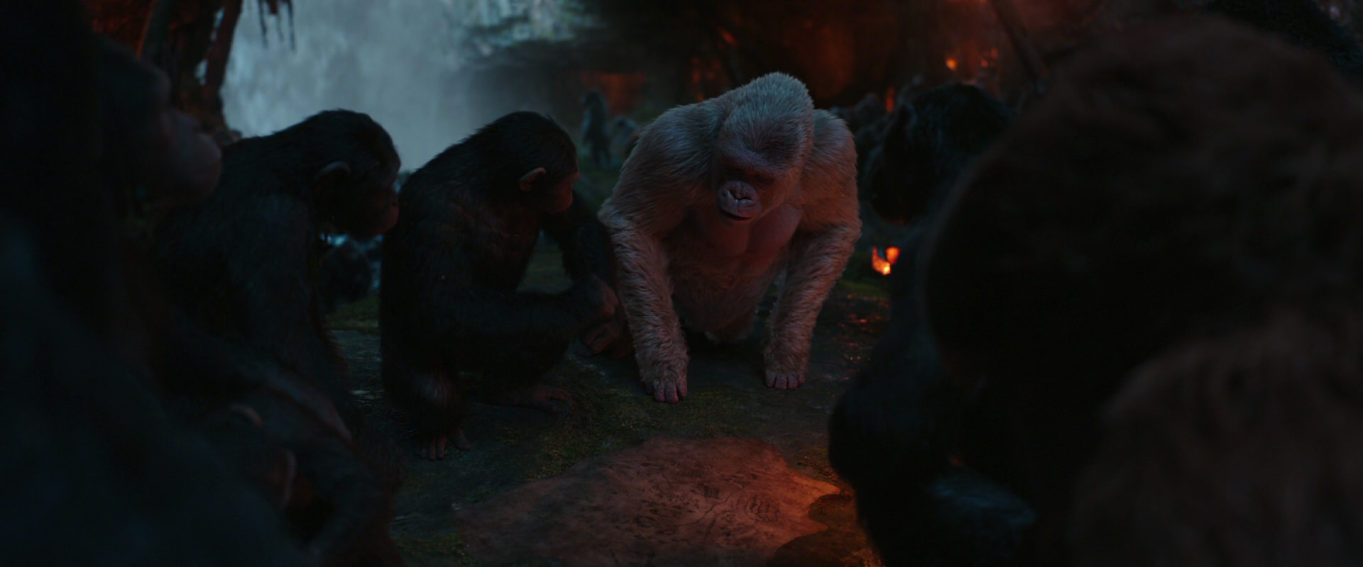 War for the Planet of the Apes (2017) movie still 1861