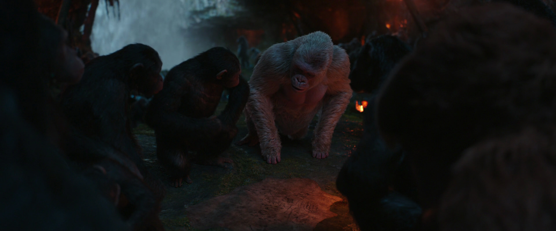 War for the Planet of the Apes (2017) HD screenshot 1862