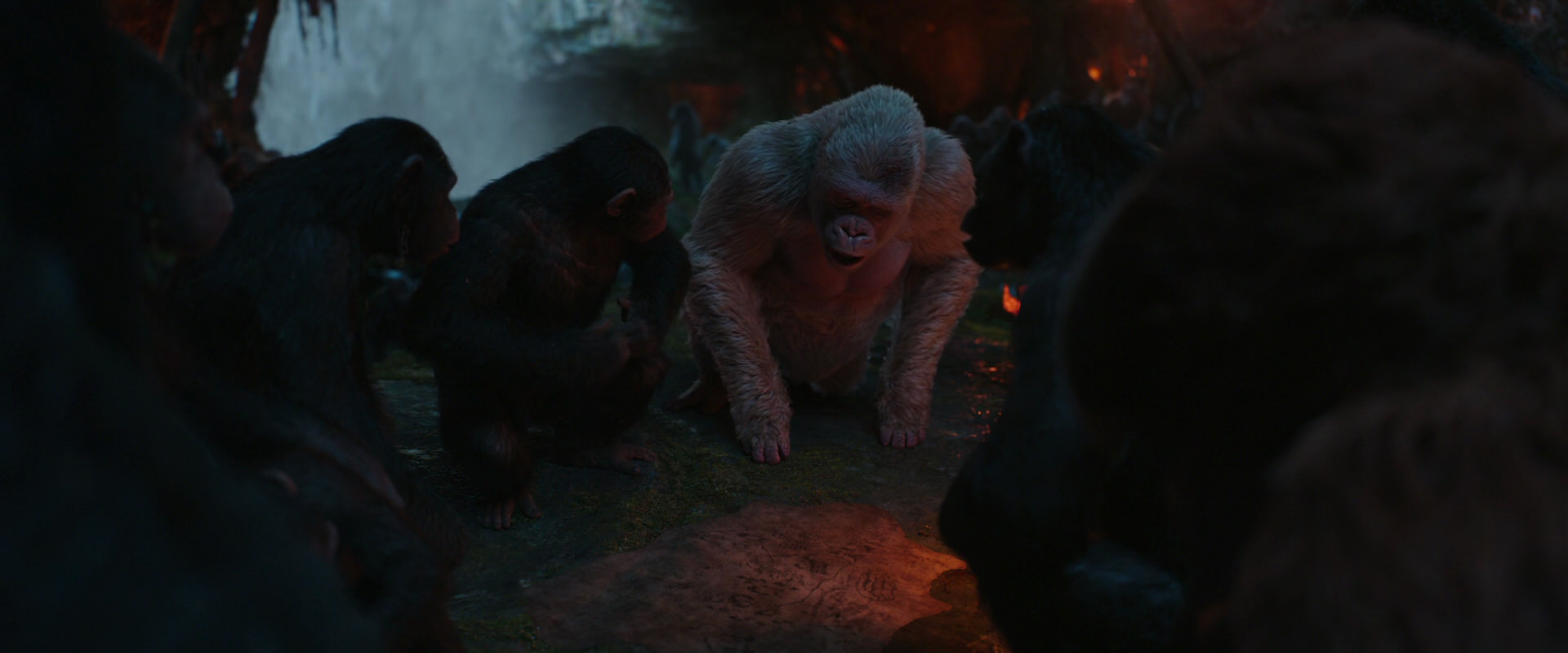 War for the Planet of the Apes (2017) movie still 1864