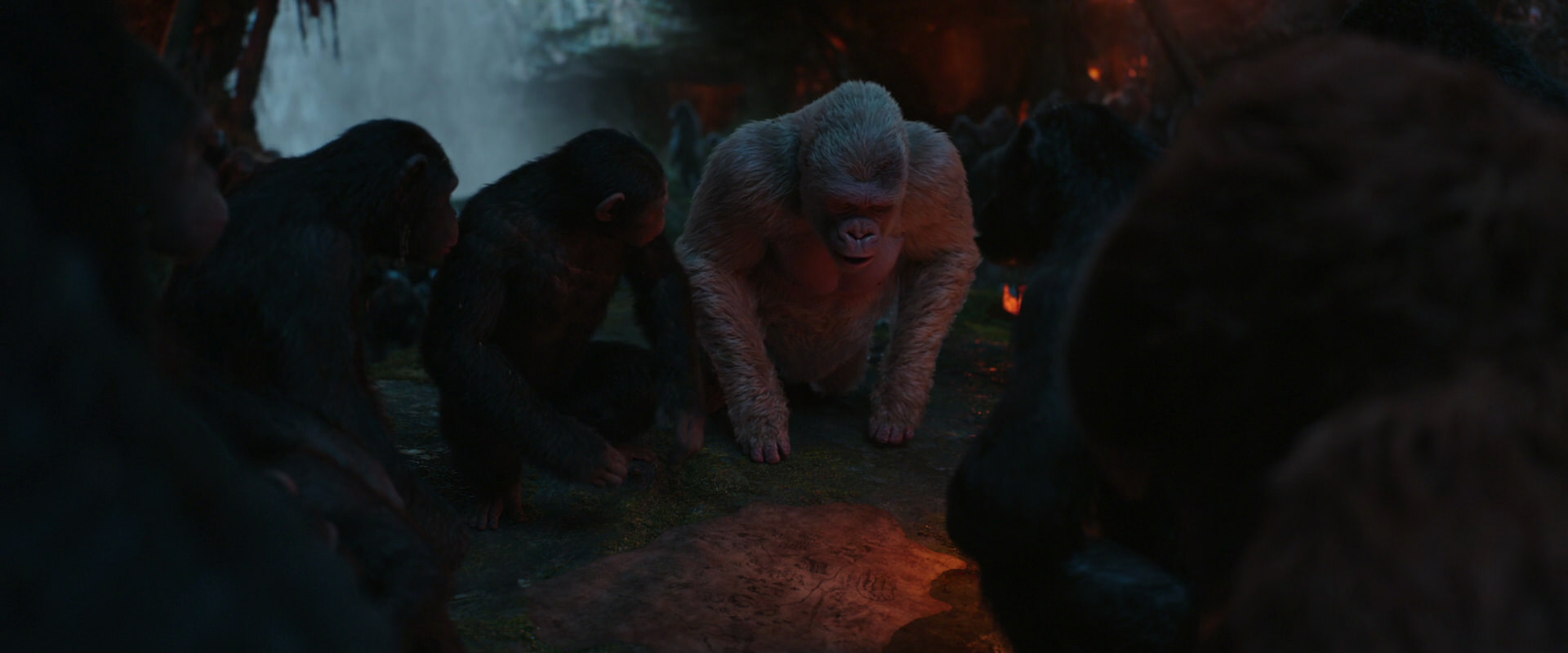War for the Planet of the Apes (2017) HD screenshot 1865