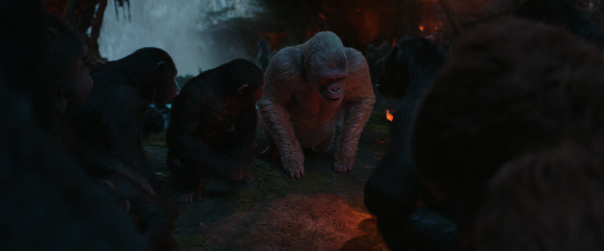 War for the Planet of the Apes (2017) screencap 1866
