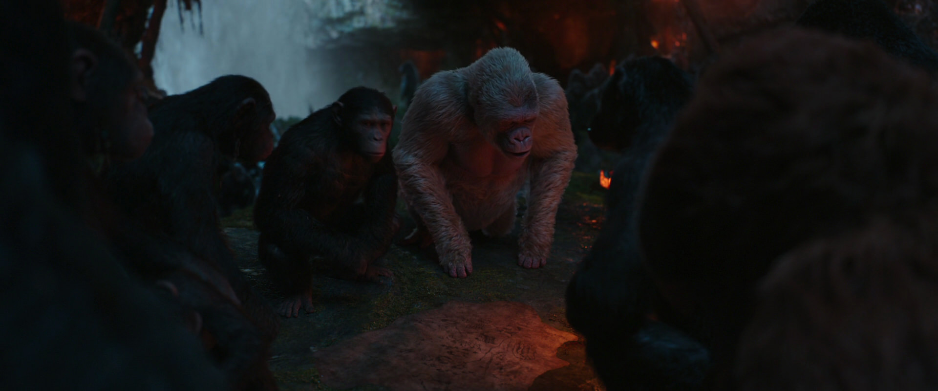 War for the Planet of the Apes (2017) movie still 1867