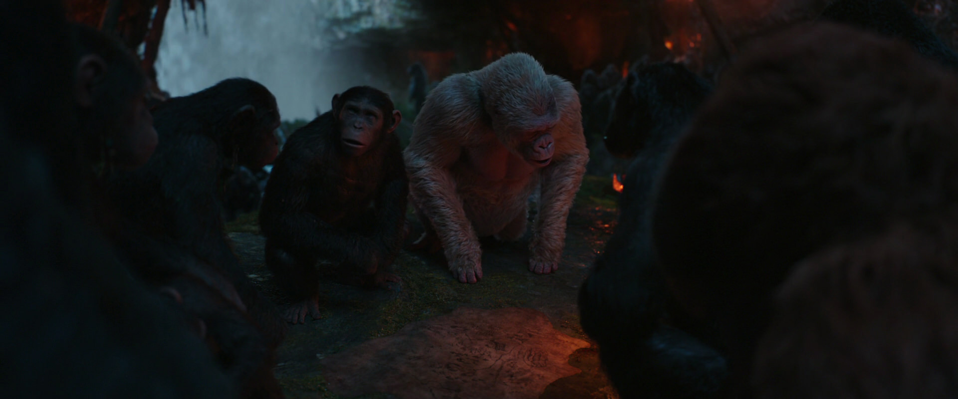 War for the Planet of the Apes (2017) HD screenshot 1868