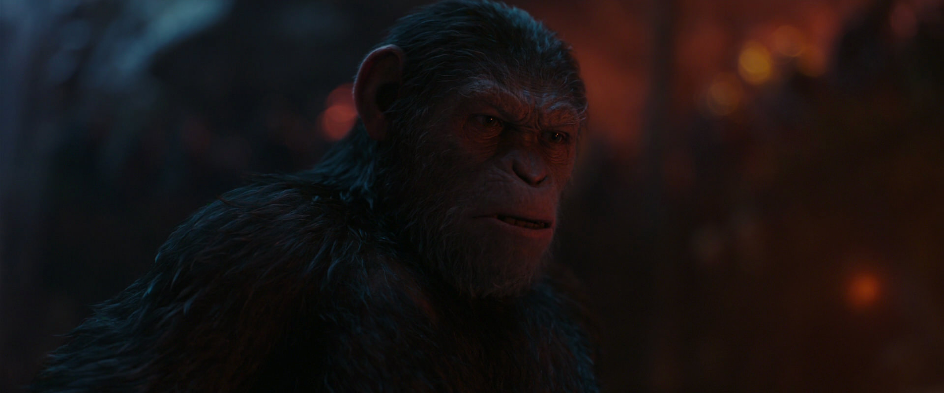 War for the Planet of the Apes (2017) screencap 1875