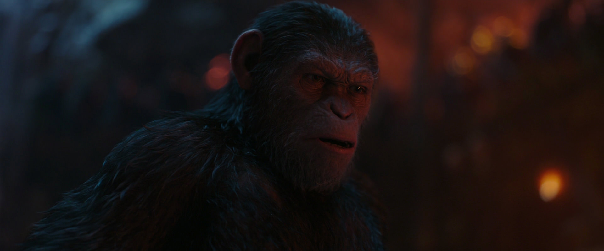 War for the Planet of the Apes (2017) movie still 1876