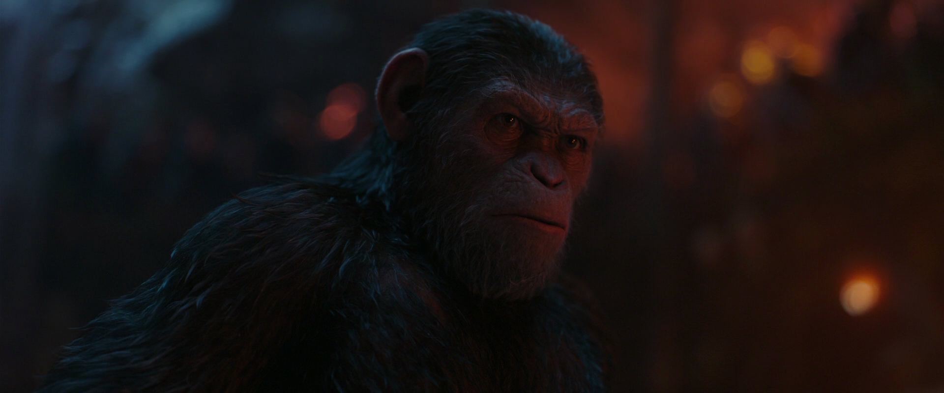 War for the Planet of the Apes (2017) movie still 1879
