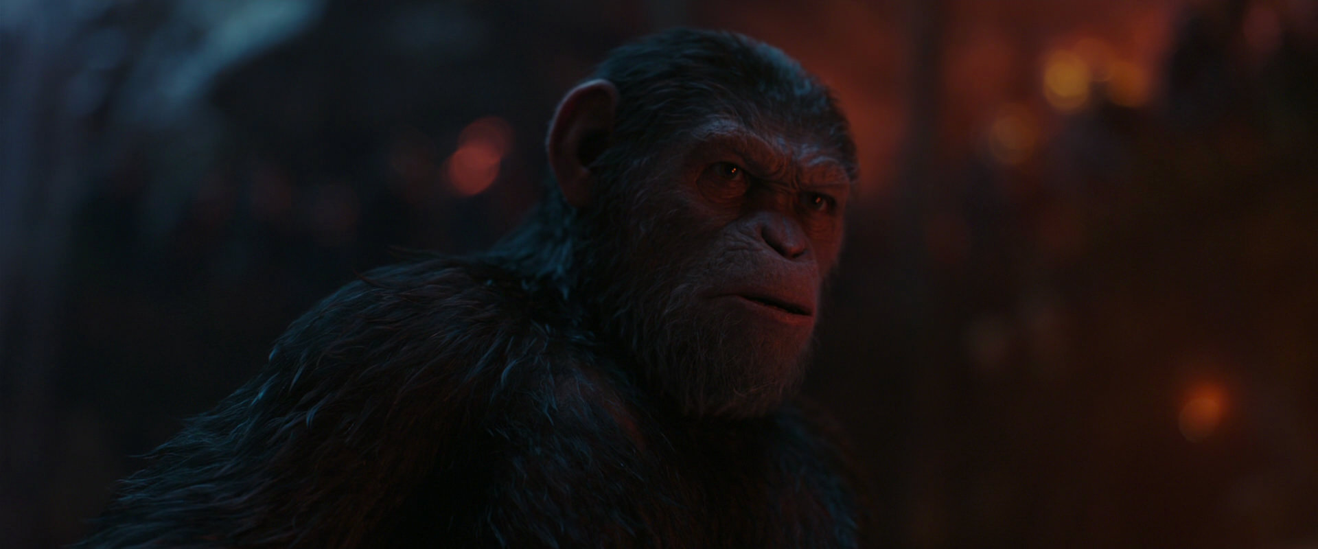 War for the Planet of the Apes (2017) screencap 1881