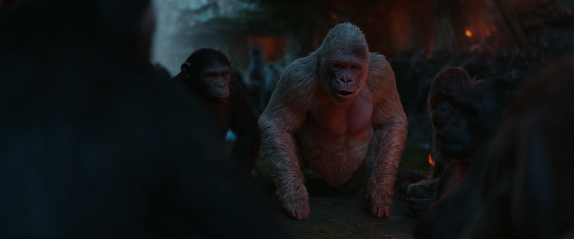 War for the Planet of the Apes (2017) screencap 1899