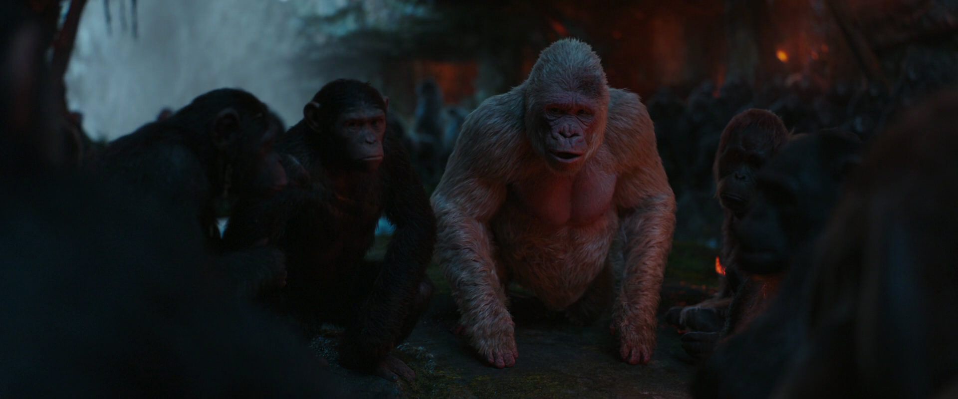 War for the Planet of the Apes (2017) movie still 1900