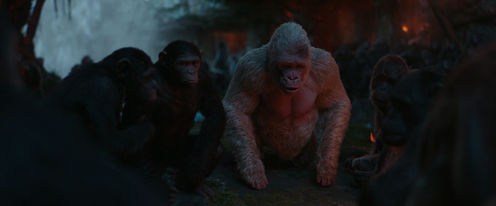 War for the Planet of the Apes (2017) HD screenshot 1901