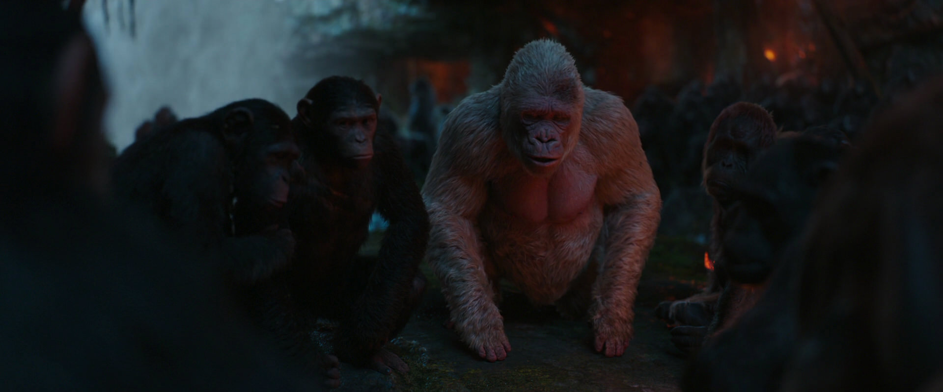 War for the Planet of the Apes (2017) screencap 1902