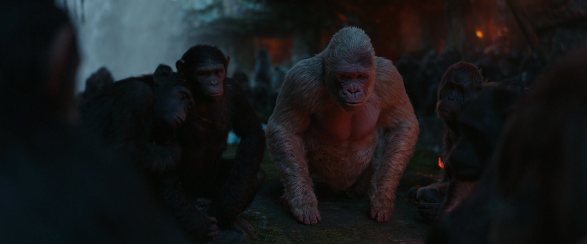 War for the Planet of the Apes (2017) HD screenshot 1904