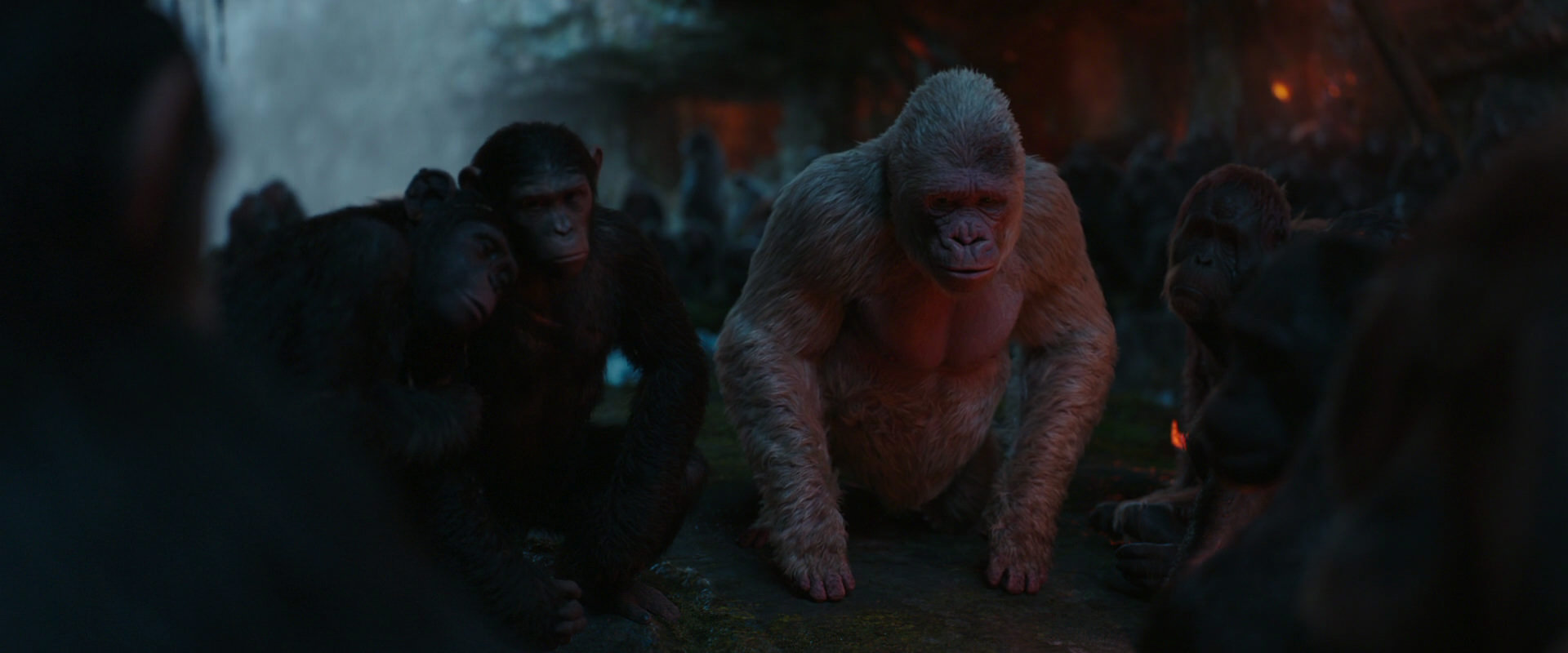 War for the Planet of the Apes (2017) screencap 1905