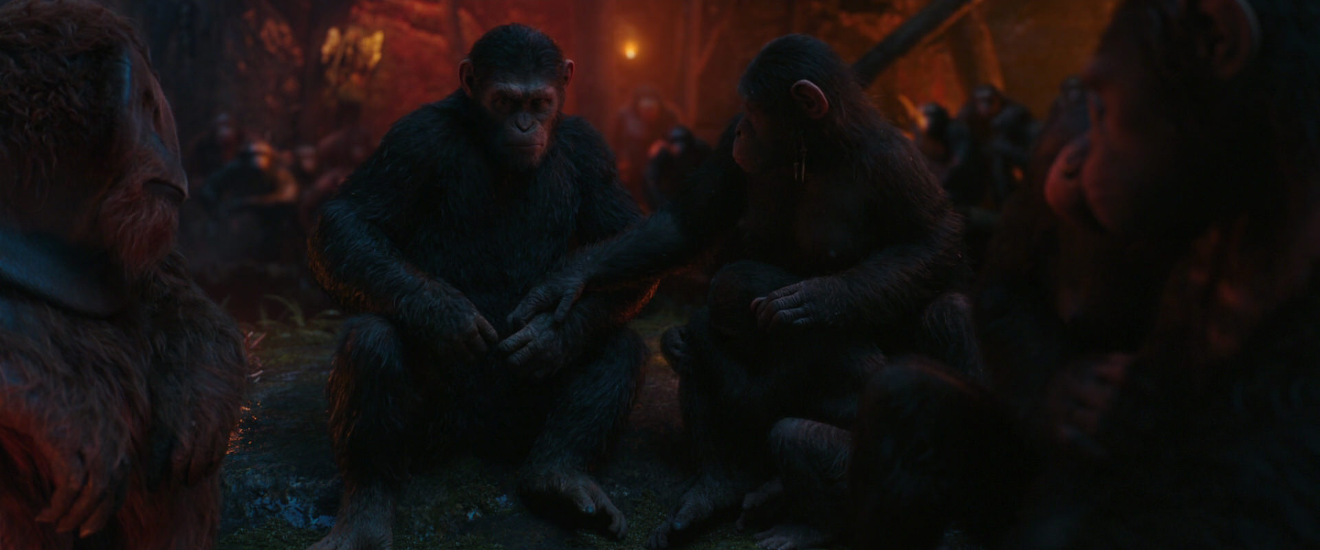 War for the Planet of the Apes (2017) HD screenshot 1907