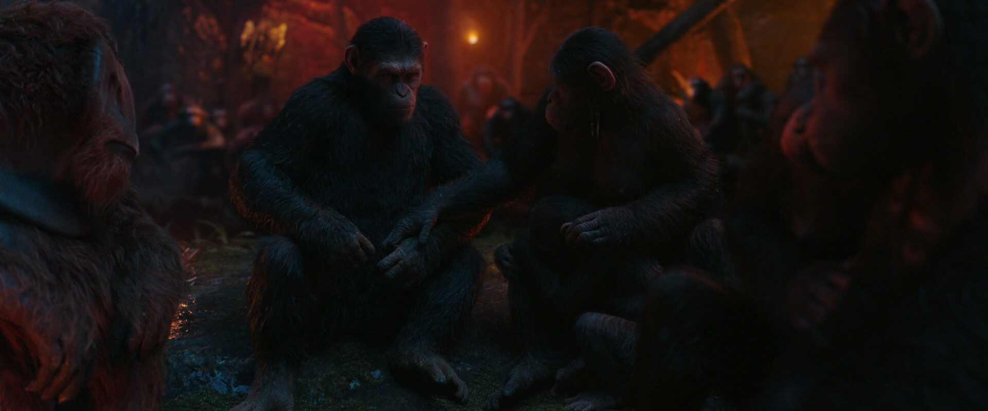 War for the Planet of the Apes (2017) screencap 1908