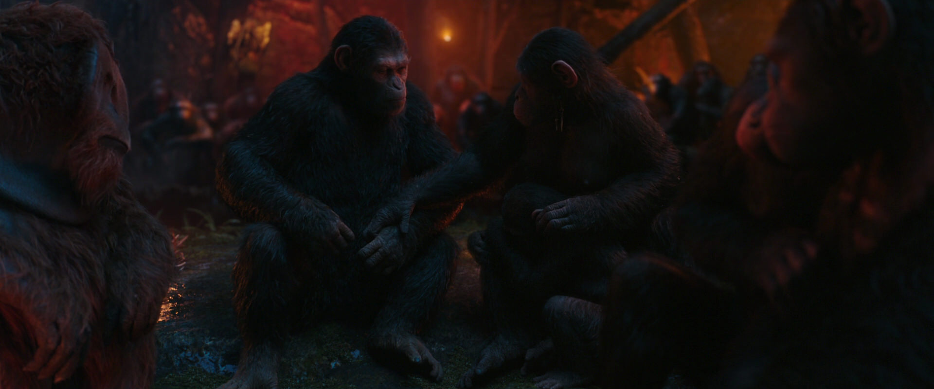 War for the Planet of the Apes (2017) movie still 1909