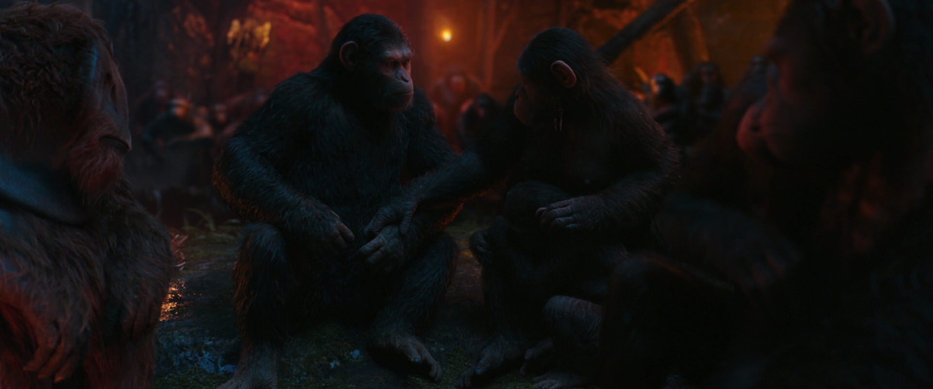 War for the Planet of the Apes (2017) screencap 1911