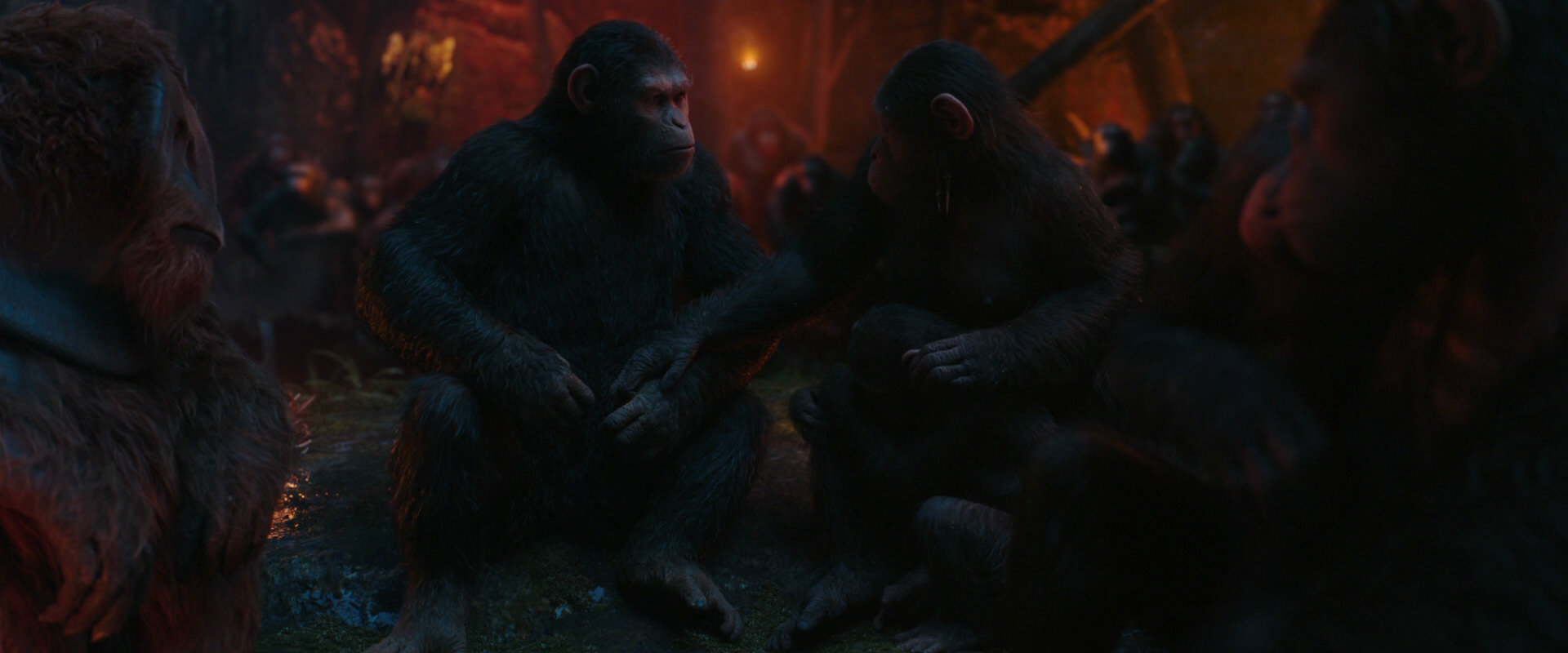 War for the Planet of the Apes (2017) movie still 1912