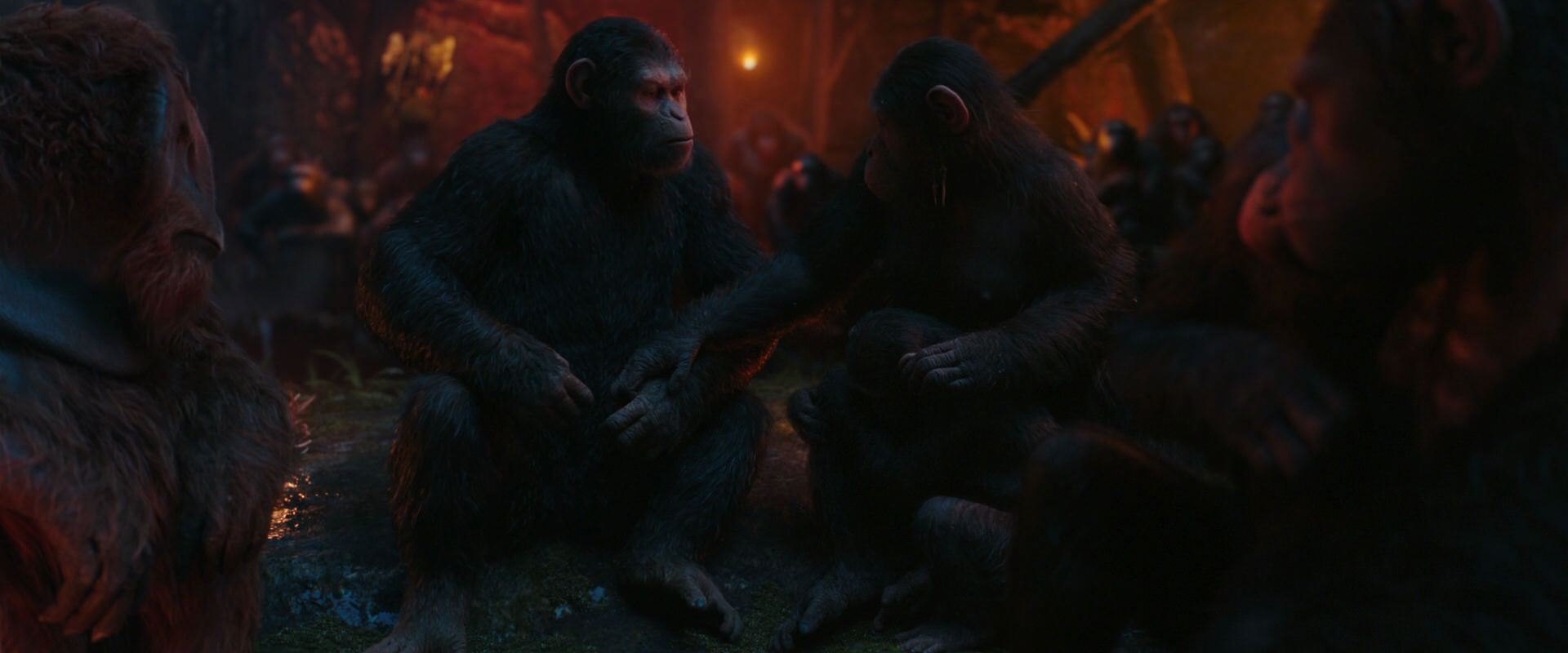 War for the Planet of the Apes (2017) HD screenshot 1913