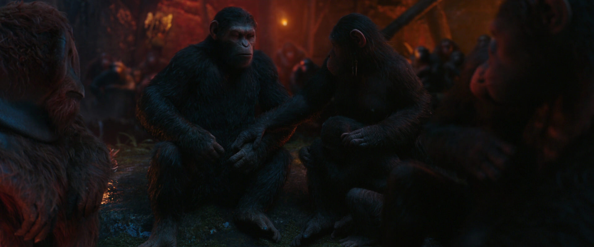 War for the Planet of the Apes (2017) screencap 1914