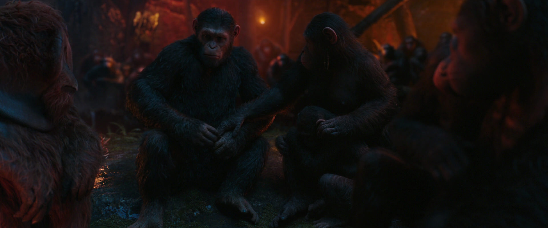 War for the Planet of the Apes (2017) movie still 1915