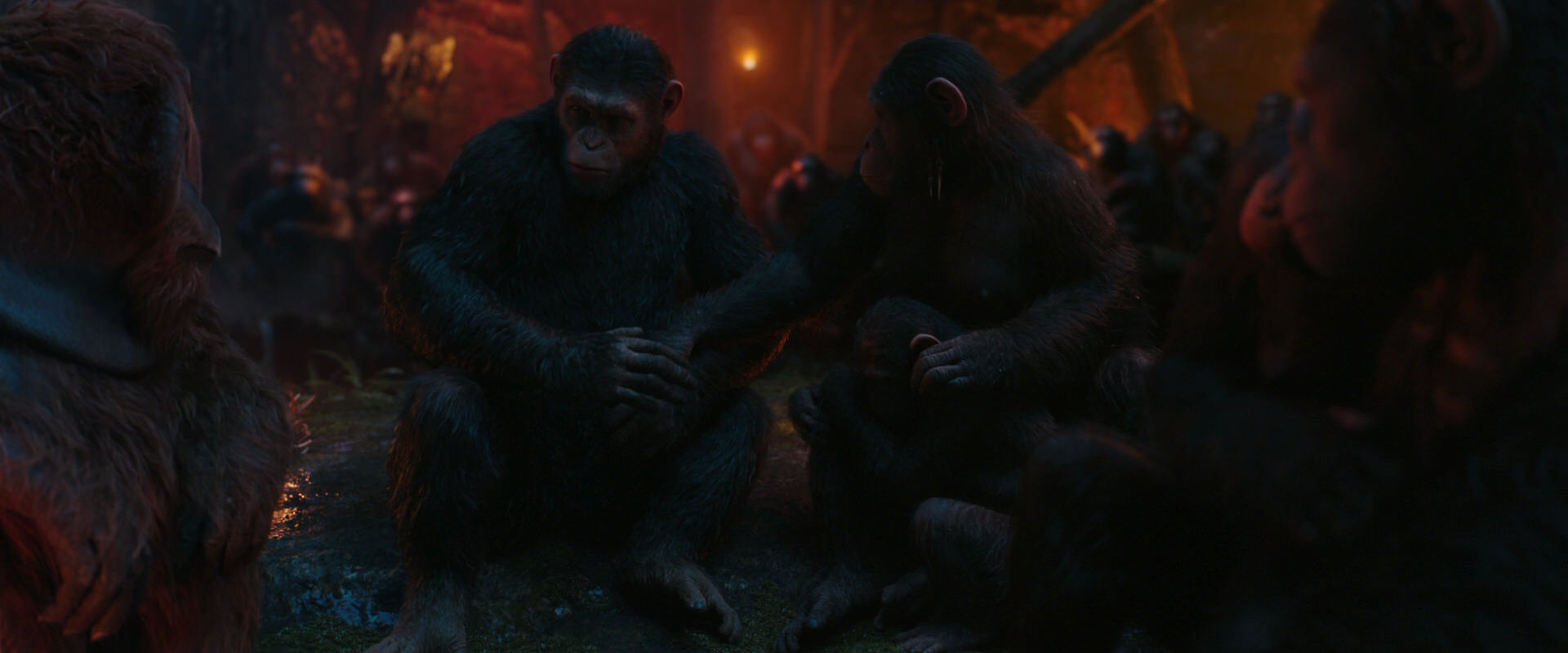 War for the Planet of the Apes (2017) HD screenshot 1916