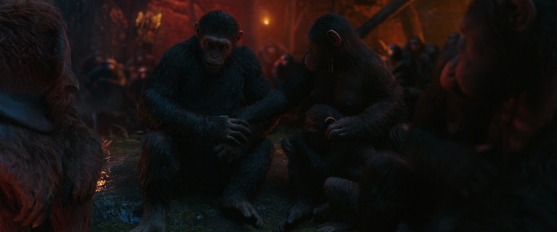 War for the Planet of the Apes (2017) screencap 1917