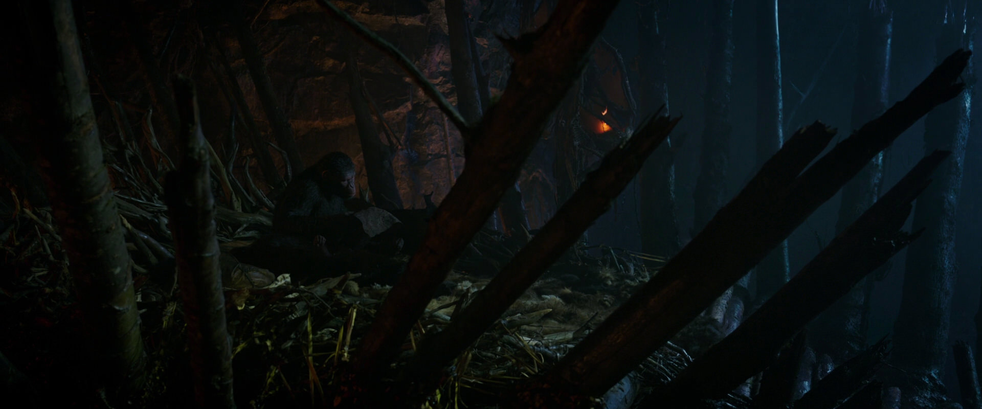 War for the Planet of the Apes (2017) screencap 1959