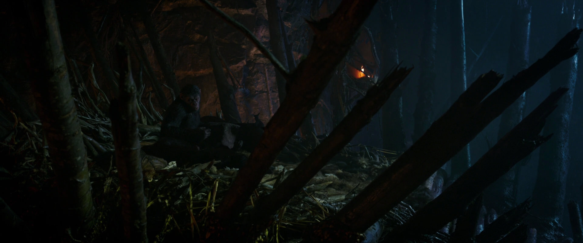 War for the Planet of the Apes (2017) screencap 1965